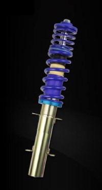 AP coil over kit fits for Seat Leon (1P) suspension strut diameter 55 mm